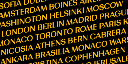 Bodrum Sans Font Poster 12