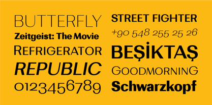 Bodrum Sans Font Poster 9