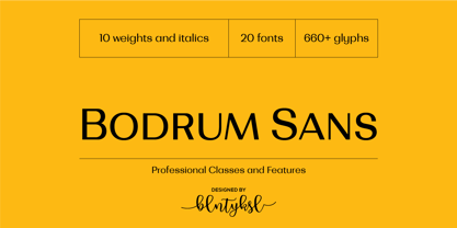 Bodrum Sans Font Poster 1