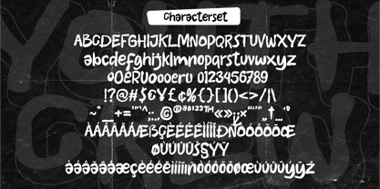 Youth Crew Font Poster 9
