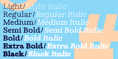 Ortak Slab Font Poster 6