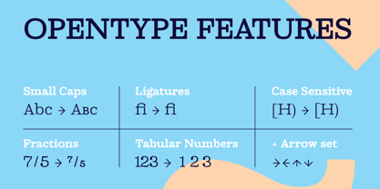 Ortak Slab Font Poster 9
