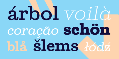 Ortak Slab Font Poster 8