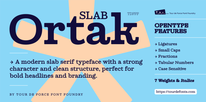 Ortak Slab Font Poster 1