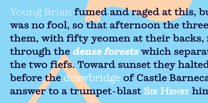 Ortak Slab Font Poster 10