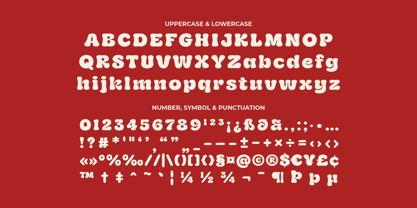 Zicho Font Poster 9