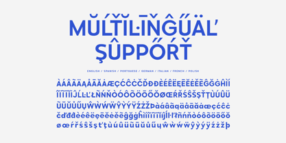 Selfion Font Poster 14