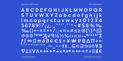 Selfion Font Poster 13