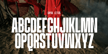Hauspot Display Font Poster 5