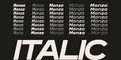 GC Monza Sans Font Poster 3