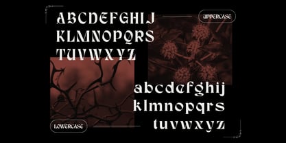 Karis Blackletter Font Poster 10