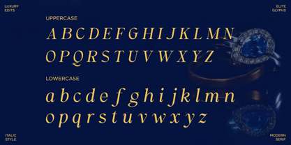 Qurellia Salesta Font Poster 11