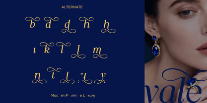 Qurellia Salesta Font Poster 13