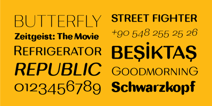 Bodrum Soft Font Poster 9