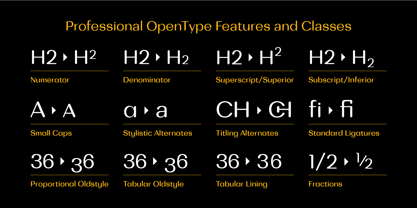 Bodrum Soft Font Poster 6