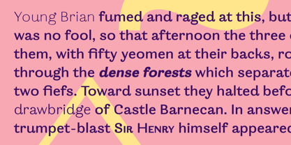 Ortak Sans Font Poster 10