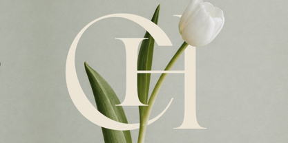 GC Begia Font Poster 6