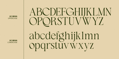 GC Begia Font Poster 2