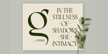 GC Begia Font Poster 10