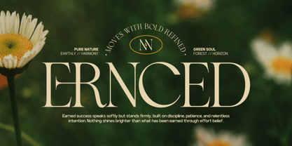 GC Begia Font Poster 5