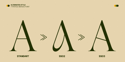 GC Begia Font Poster 9