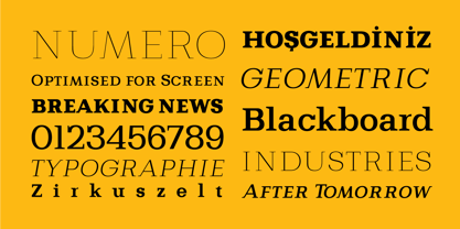 Bodrum Slab Font Poster 7