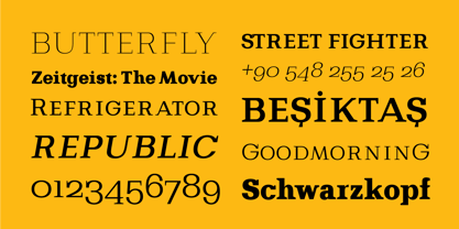 Bodrum Slab Font Poster 9