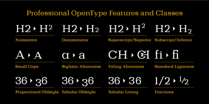 Bodrum Slab Font Poster 6