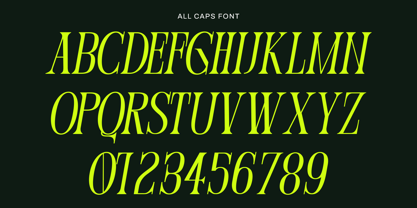 Eco Frey Font Poster 5