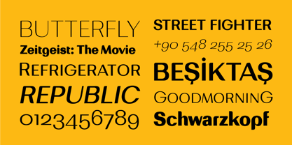 Bodrum Sweet Font Poster 9