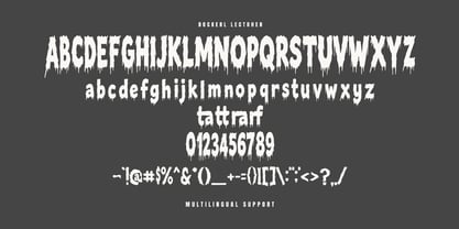 MC Dockerl Lectohen Font Poster 7