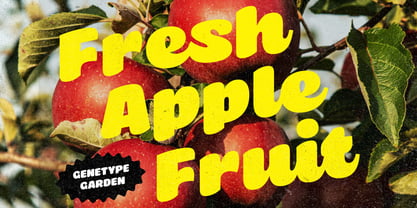 Brisna Font Poster 4