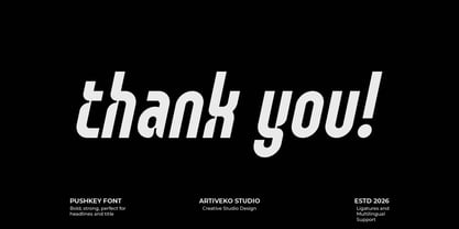 Pushkey Font Poster 8