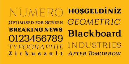 Bodrum Style Font Poster 7