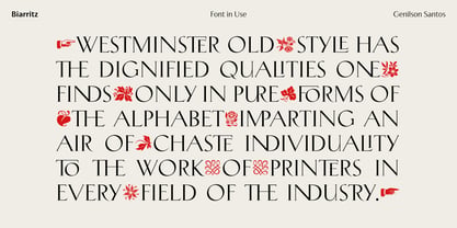 Biarritz Font Poster 14