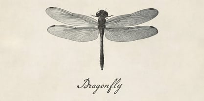 Heritage Ink Font Poster 4