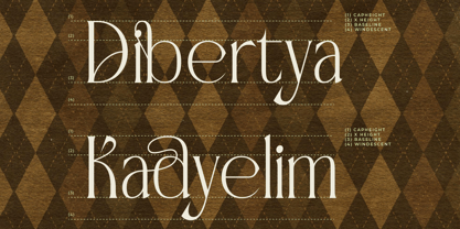 Badgeils Font Poster 14