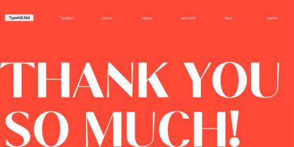 Calvion Sans Font Poster 13