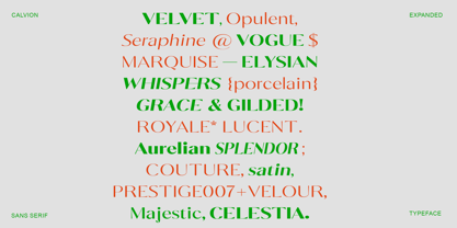 Calvion Sans Font Poster 11