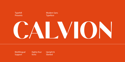 Calvion Sans Font Poster 1