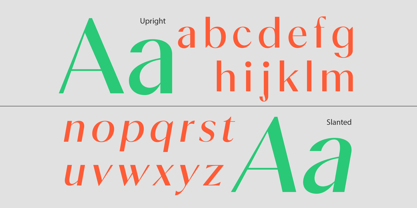Calvion Sans Font Poster 4