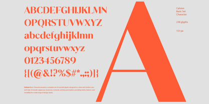 Calvion Sans Font Poster 2
