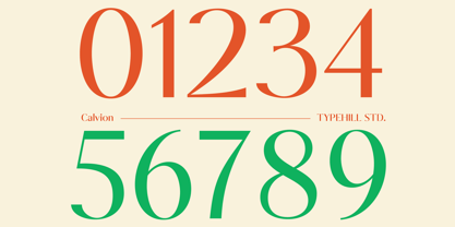 Calvion Sans Font Poster 8