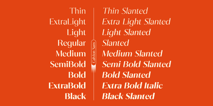 Calvion Sans Font Poster 5