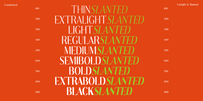 Calvion Sans Font Poster 9