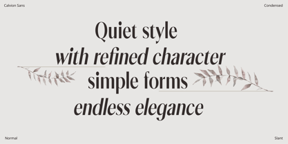 Calvion Sans Font Poster 6