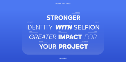 Selfion Font Poster 5