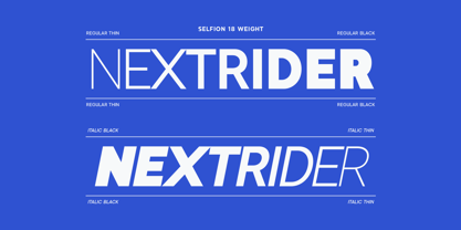 Selfion Font Poster 3