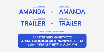 Selfion Font Poster 12