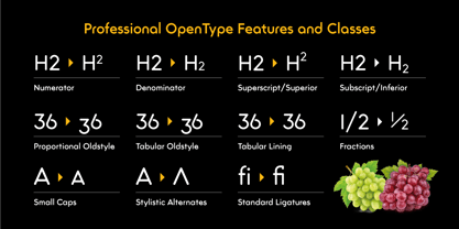 Trakya Rounded Font Poster 7